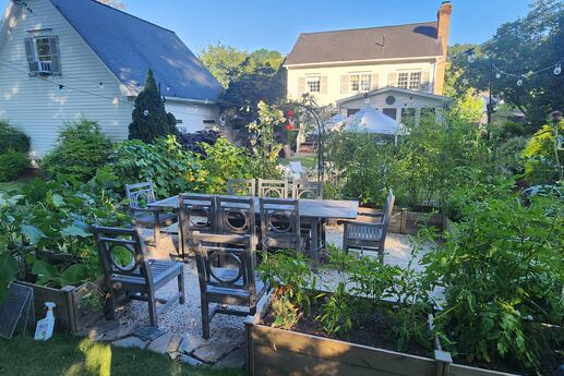 garden with raised beds